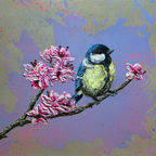 Songs of Blossoms