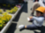 5月おひさま②
