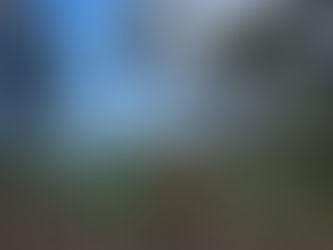 Retour sur la terre ferme