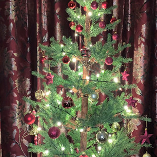 Send us your tree!
