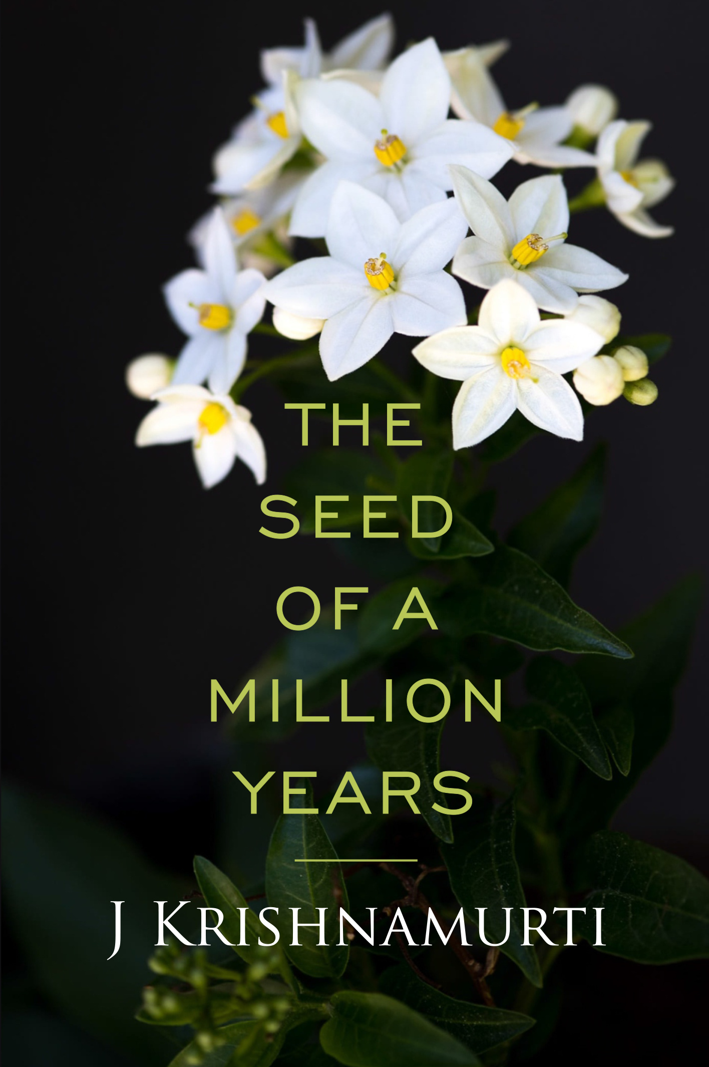 The Seed of a Million Years