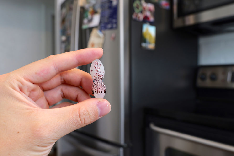 Thumbnail: Classic Kraken Cutie Magnets