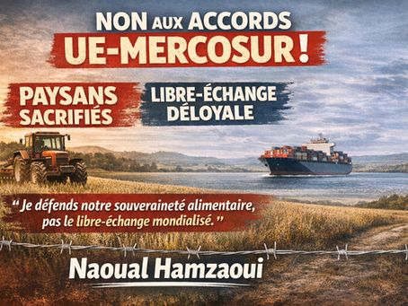 Je refuse le discours enchanté autour de la signature de l'accord UE-MERCOSUR