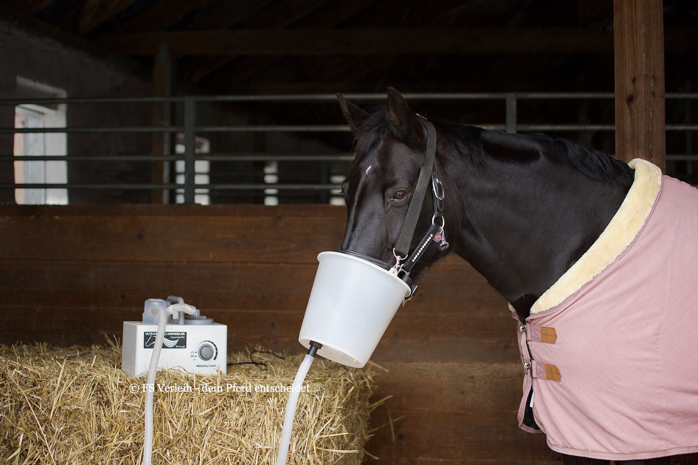 Hartwig Equosonic Privat Inhalator