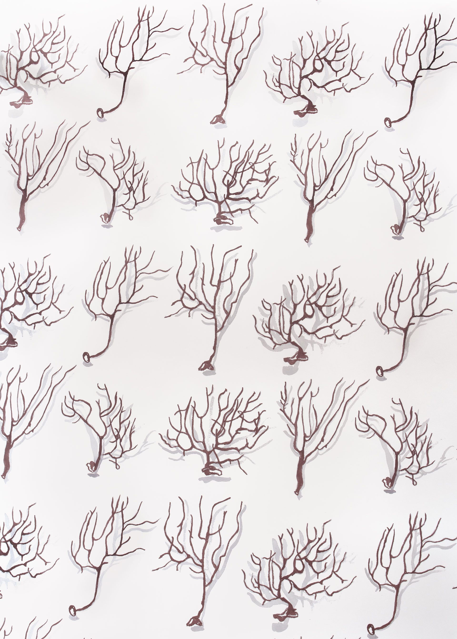 Mally Skok Nature’s Valley Wallpaper Dune