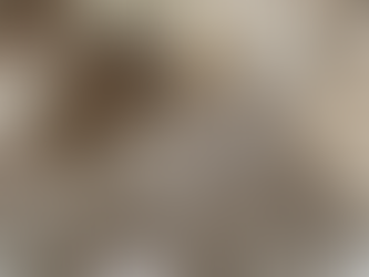 Colour of the Week – Sable | Depth, Drama & Timeless Luxury