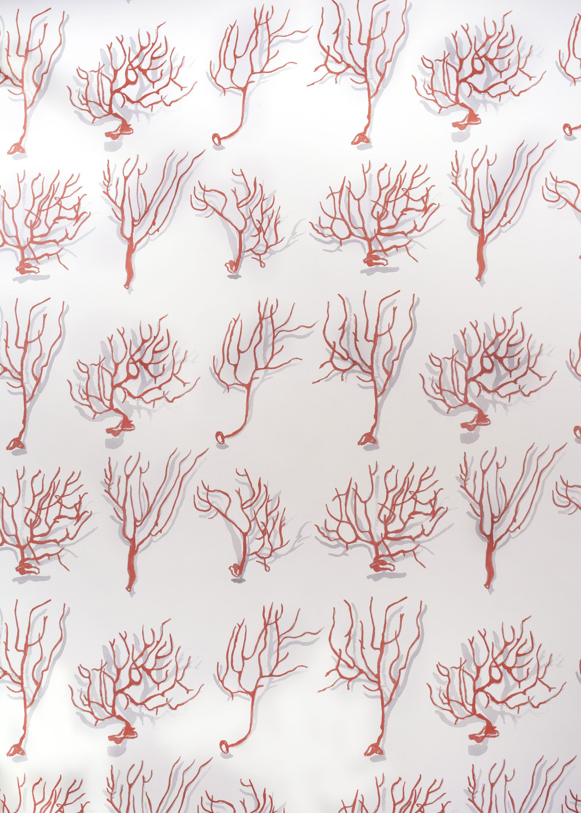 Mally Skok Nature’s Valley Wallpaper Coral
