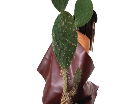 Introducing an Eco Friendly Alternative to Leather & Vinyl