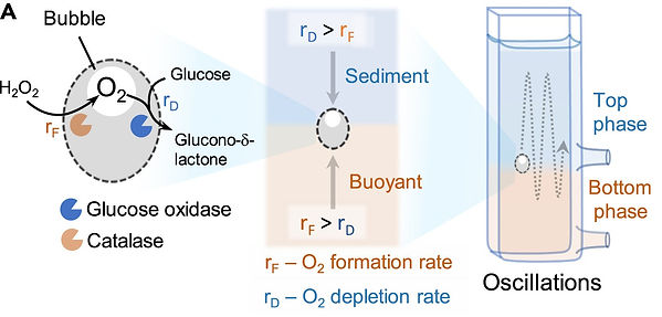 Chem fig for news_edited.jpg