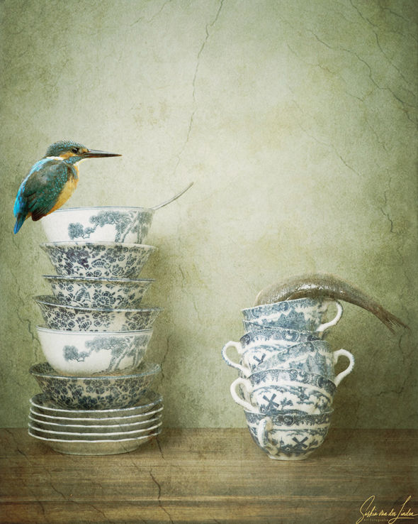 De haringvisser- stilleven met een ijsvogel en een haring op stapel porselein