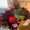 Thumbnail: 2024 Flower Subscription