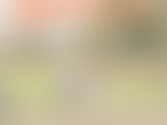 2026.3.9（月）プレオープンのお知らせ