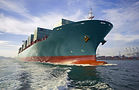 NOVA PAYEE SERVICES 