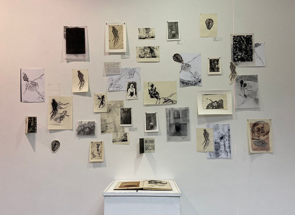 Obras de Syl Triginelli que fizeram parte da exposição. Disponível em: https://www.instagram.com/p/DCJhgjUuesQ/?img_index=1