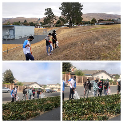 Screenshot 2024-07-20 at 8.15.54 AM.png