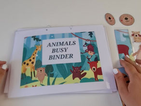 Preschool Animals Busy Binder, Montessori 3-5 Years Old Activities