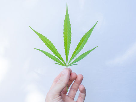 CBD & COVID-19