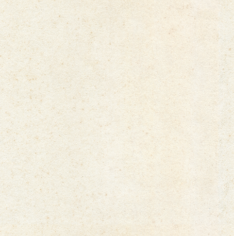 Paperback-Mildew-by-TGTS 2.png
