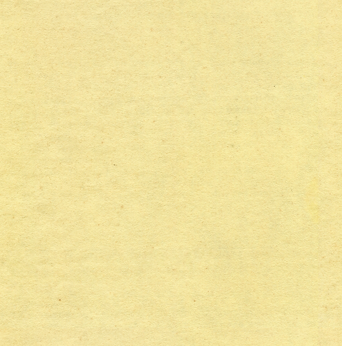 Permanent-Record-by-TGTS 11.png