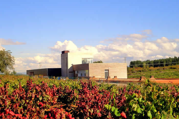 Losada Vinos de Finca