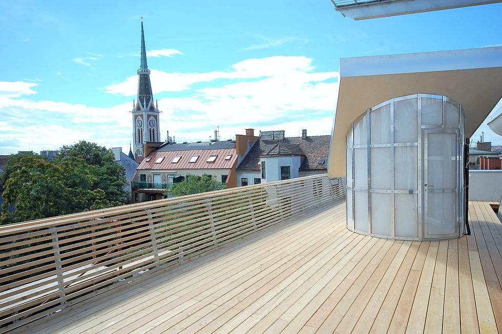 Dachausbau Dempschergasse