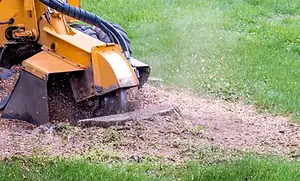 cut-right-tree-service-hero-stump-grinding-2880w-1920w.webp