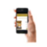 Untitled design (24).png