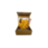 Untitled%20design%20(20)_edited.png