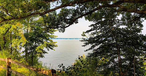 UW Lakeshore Preserve-001.jpg