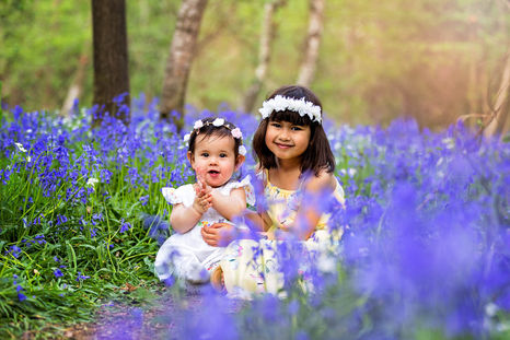 Bluebell season is coming