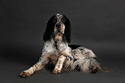 01 LGP_6395-Edit Laura Greene high res.jpg