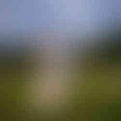 Best Oxford family photographer | Family photoshoot Oxford | Best family photography locations Oxfor