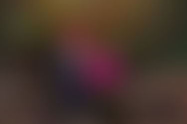 Top Family Photoshoot Locations in Oxford: Where to Capture Timeless Memories