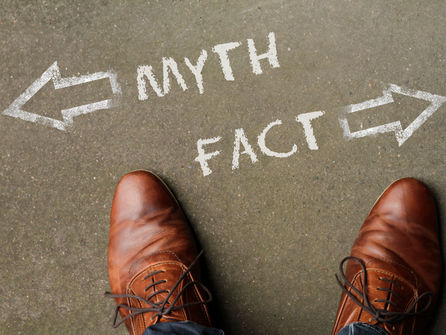 Before You Start a Business, Forget These 4 Myths