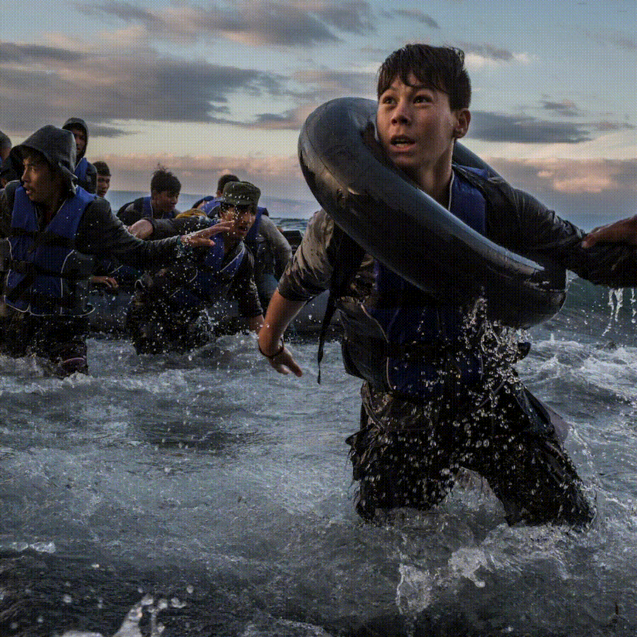 refugeeeees.gif
