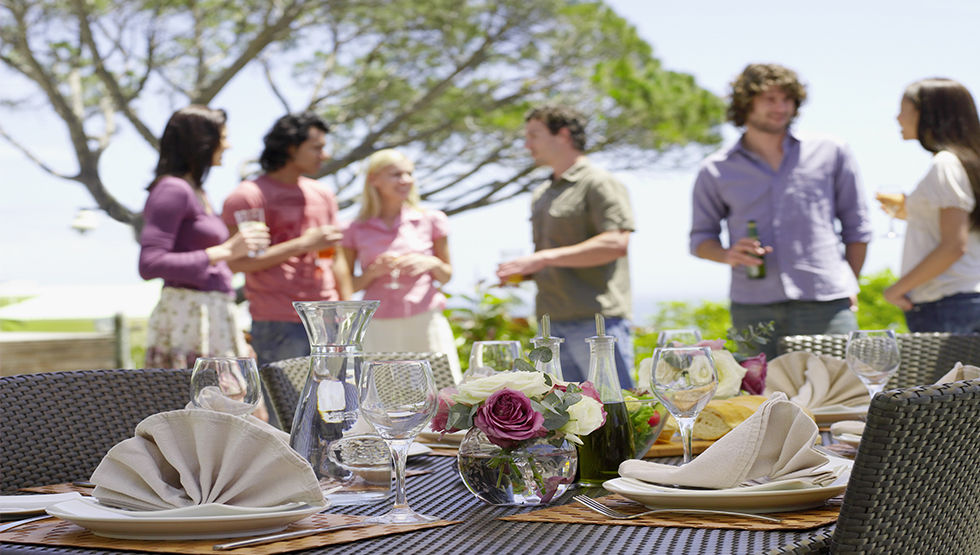 Picnic in the wine country