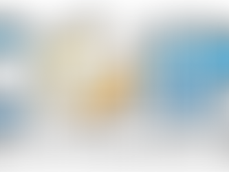 Chiesi Foundation Excellence Awards, COINN 2024 Aalborg, Denmark