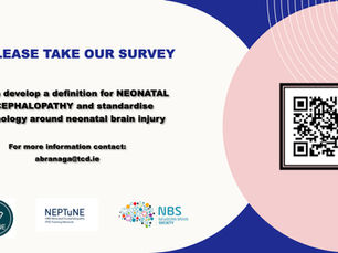 PLEASE TAKE OUR SURVEY: To help develop a definition for NEONATAL ENCEPHALOPATHY and standardise terminology around neonatal brain injury