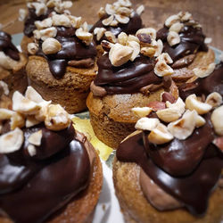 Hazelnut Chocolate Mousse Dream Cupcakes