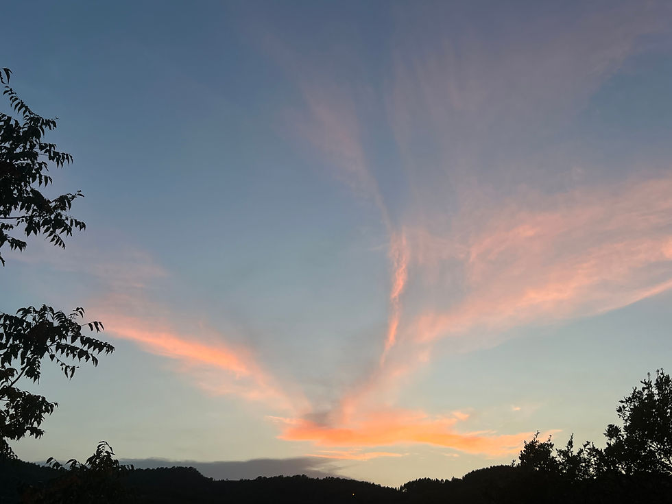 Colombe-nuage