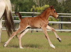 336451258_3478509982420721_7158115728267496418_n