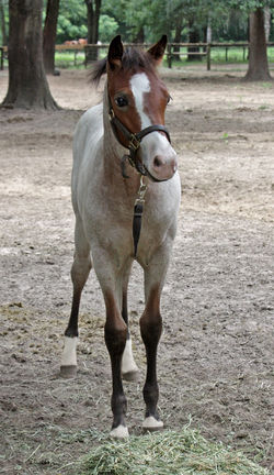 104346606_307401733758395_70212663735638