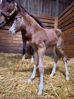 340206620_530575045691025_3540263183533637088_n