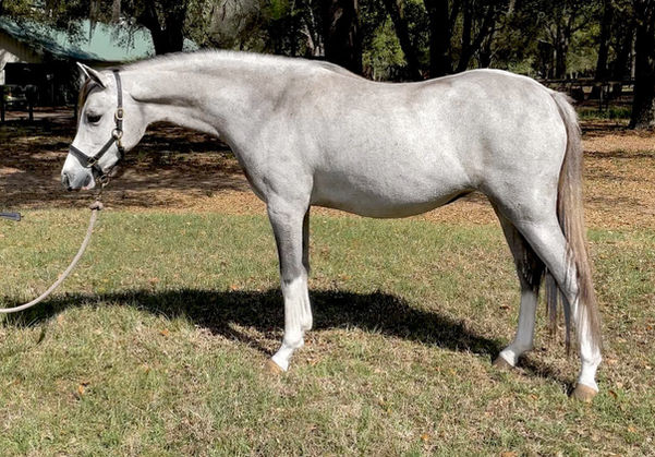 Adieu 2022 March 2.jpg