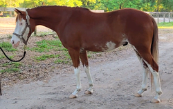 Screenshot_20210314-203857_3