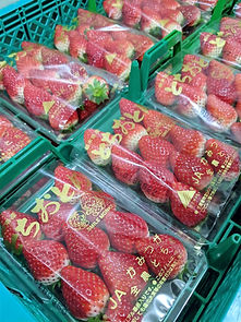 PXL_20220125_052602565_edited.jpg