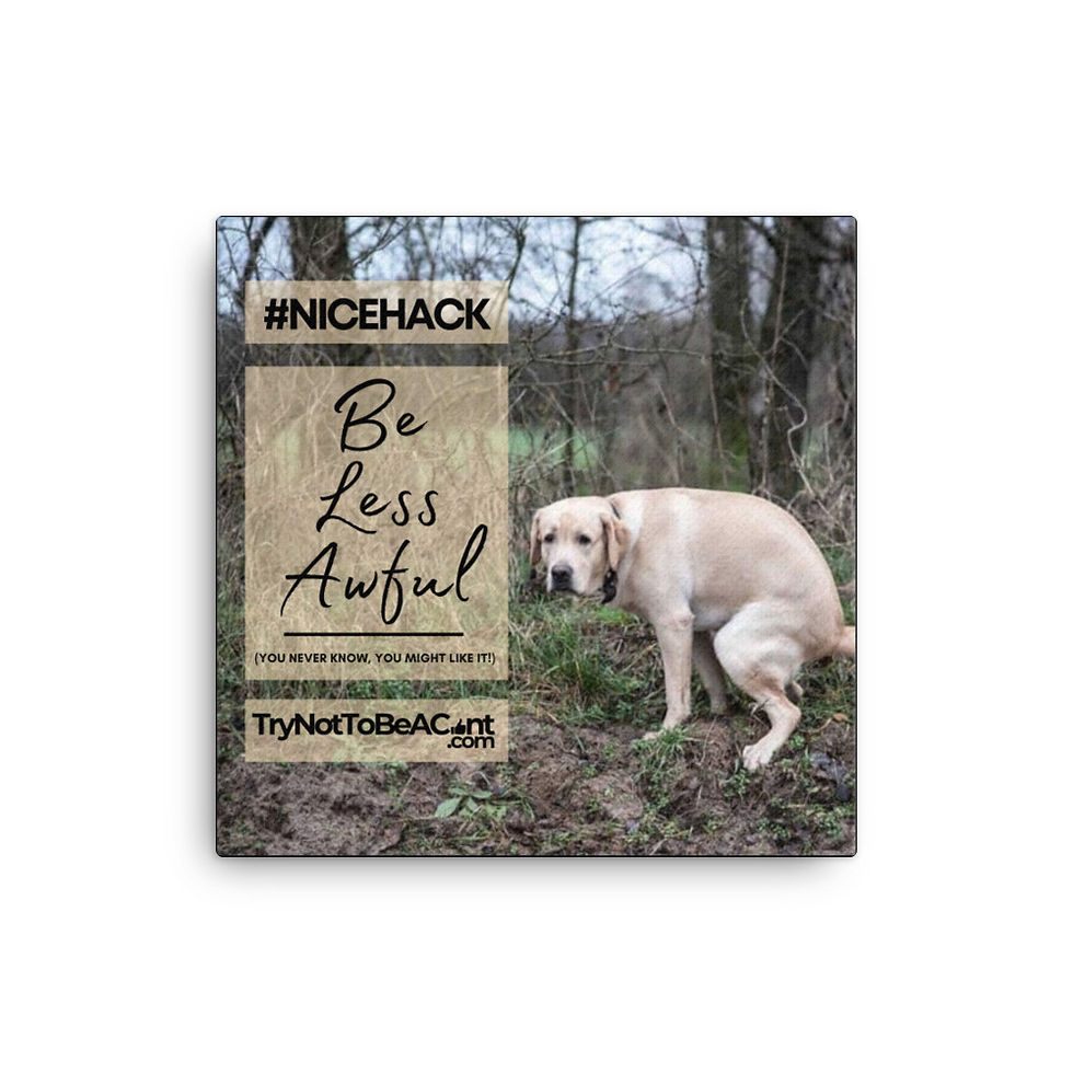 Be Less Awful - #NiceHack on Canvas - Artwork