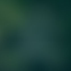 Bir Paketin Ardındaki Hikaye