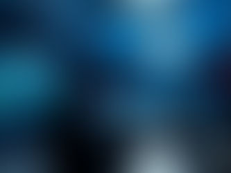 Penetration Testing and Vulnerability Assessment Services