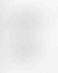 My kids are young and don’t know geopolitics. But they know when I’m checking my phone too much. Whe